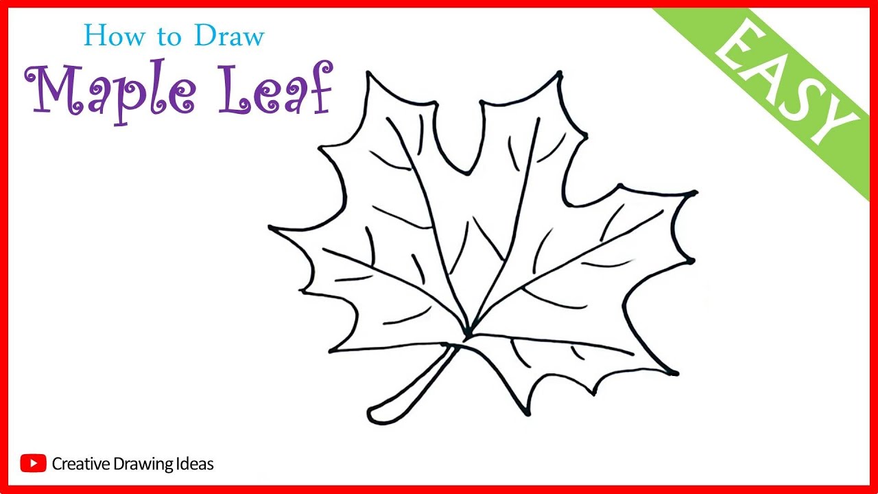 How to Draw a Maple Leaf Step by Step Maple Leaf Drawing Easy YouTube