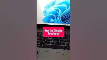 Laptop EXPERT Reveals Easy Way to Disable Touchpad