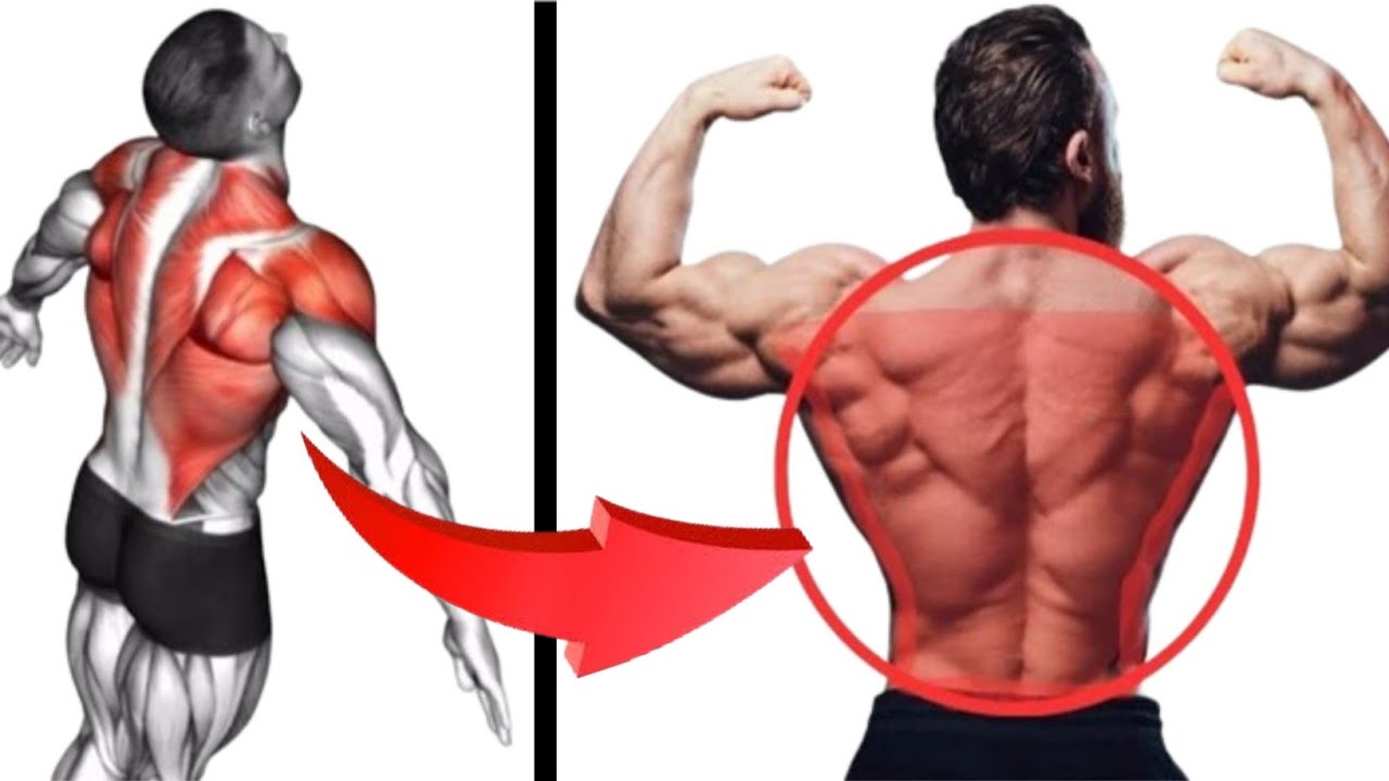 Best Exercises For a Bigger Back - Back Workout - YouTube