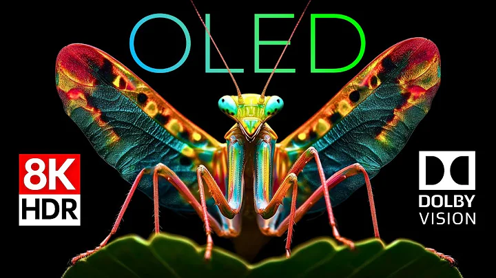 World of Insects OLED Demo HDR 8K Ultra HD Dolby Vision™ 60fps thumbnail