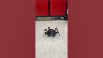 Big Hexapod First Movement Test