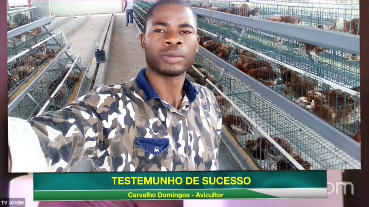 Jovem Produtor Carvalho Domingos, AVICULTOR
