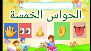 الحواس الخمسة مع شهدأغنية انا انسان لي إحساس