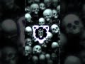 MONTAGEM ALUCINANTE SLOWED