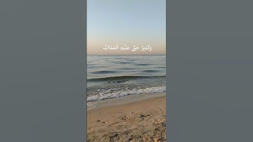 سورة الحج آية ١٨ #quran #ياسر_الدوسري #انشر_تؤجر