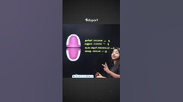 കണ്ണനെ പ്രേമാണ് ...🤭