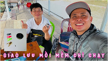 Anh em giao lưu câu cá lóc bằng mồi mềm chì chạy ( 2025 )