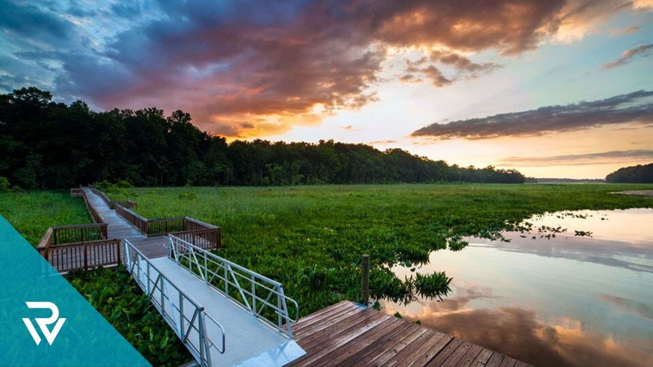 Above Crow's Nest Natural Area Preserve -Stafford, Virginia-DJI Mini 2 4K Footage