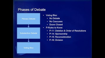 Model United Nations: Controlling the Flow of Debate