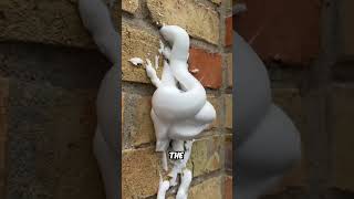 Injecting formaldehyde foam in wall 😮😮 | #shorts