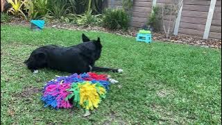 05A4983C 60A9 4A29 B221 BB467FD03D53