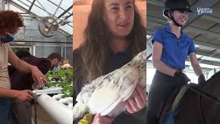 Explore UD's College of Agriculture & Natural Resources