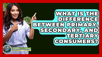 What Is The Difference Between Primary, Secondary, And Tertiary Consumers? - Earth Science Answers