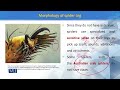 ZOO103 Principles of Systematics Lecture No 137