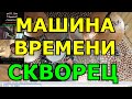 Машина Времени - Скворец ● Барабанная Партия Песни ● Партия Ударных Разбор Партии Барабанов Урок