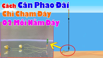 Hướng Dẫn Cách Cân Phao Chì Chạm Đáy Trong Câu Đài | Cân Phao Câu Lụt, Câu Cá Diếc, Chép, Săn Hàng