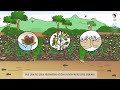 Vidéo de formation AbTF sur la protection et l'amélioration de la biodiversité