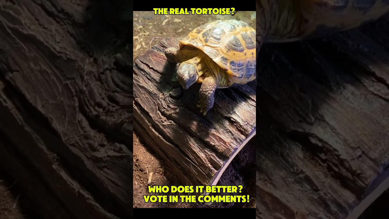 Zeke has some competition, who's the real OP weapon 