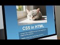Chapter 5: Using CSS in HTML | Use CSS – Inline, Internal &amp; External | Std 7 | Tech Tuition by Rohit