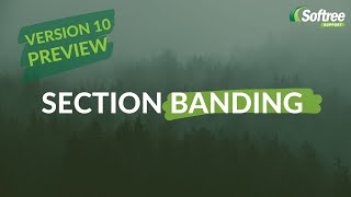 New Section Banding Feature Preview for RoadEng 10