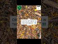 NATURE MEME 🗺️ • #mothernature #naturenews #naturephotos #memesvideo #memes #ispy #groot #games #i9