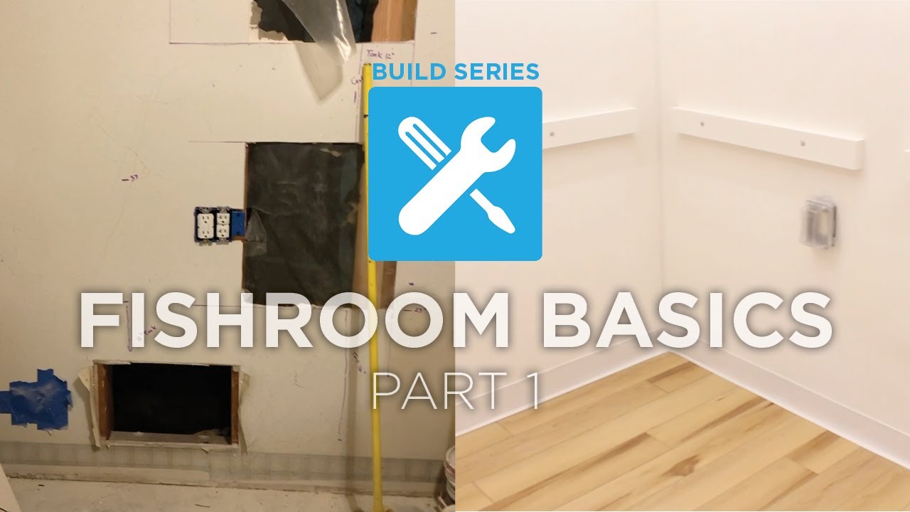 Ep. 1 | Build Series: Fishroom Basics Part 1 - YouTube