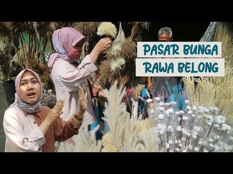 Video: Bunga Rawa