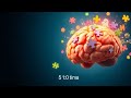 5 способов сохранить и улучшить память после 50 без больших усилий