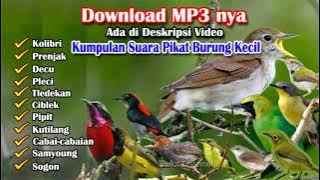 Mantap Lur Sudah Terbukti !! Suara Pikat Semua Jenis Burung Kecil Dijamin Pasti Nempel Semua