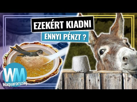 Videó: Melyek A Legdrágább ételek A Világon?