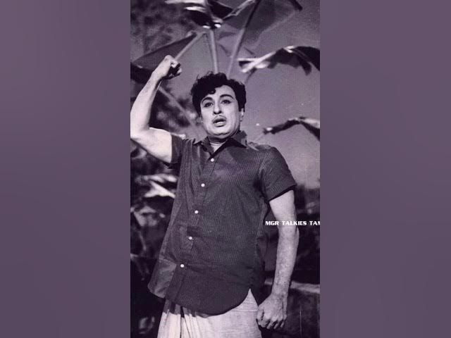 #mgr #shorts #shortvideos #trendingshorts #trending #vlog #cinema #daily #views #tamil #video #vijay