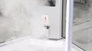 Insignia Premium Offset Steam Shower - 2nd Generation Showers