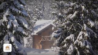 Snowy Cabin in the Pines (8 HOURS) | Winter Wind Ambience for Deep Sleep, Study & Relaxation