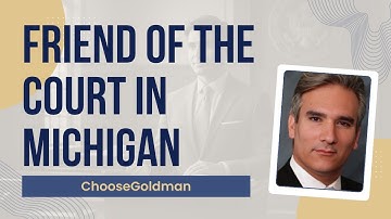 How [Friend Of The Court Works] - ChooseGoldman.com
