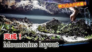 映り込みが綺麗！レイアウト完成！立ち上げ完結？終わりは無い！【自然