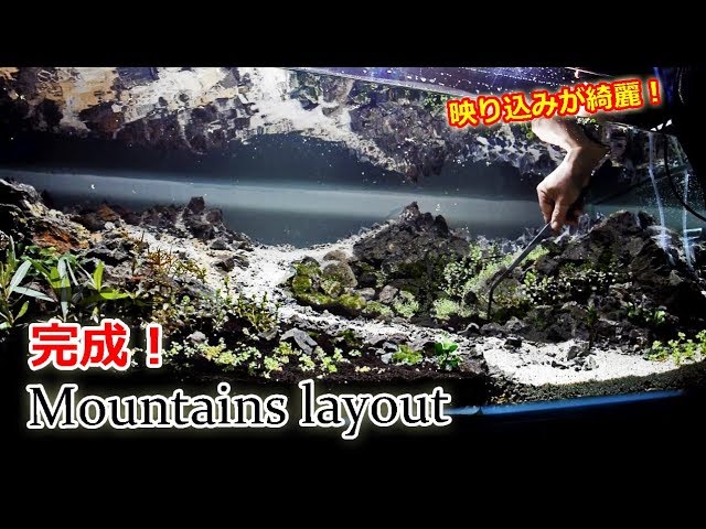 レイアウト素材+水草全て Beautiful Reflections! Layout Complete! Is the Setup Finished? It