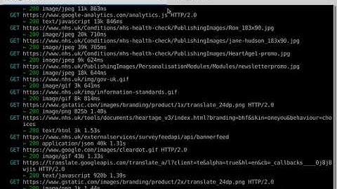 Using mitmproxy to capture Network Traffic showing NHS Referers sent to third parties