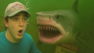 Jai Découvert Une Mare Pleine De Requins