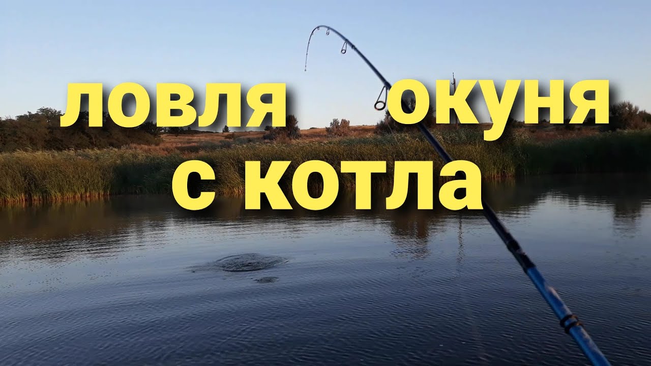 Что ловится на оке