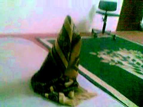 جذب مؤلف وقود قصة السجادة التي تصلي Skazka Devonrex Com