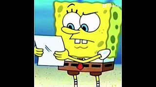 SpongeBob: single forever!