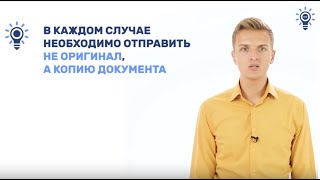 картинка: Подготовка отчёта гранта Росмолодежи