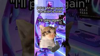 Cat Memes When Your Vacation Is Over