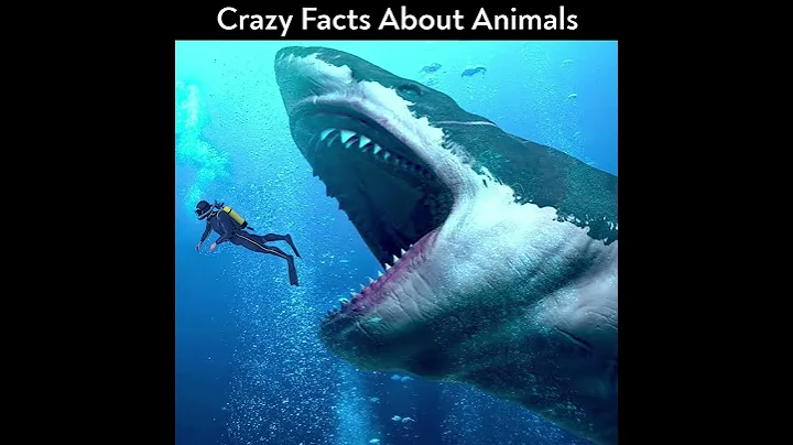 Crazy Facts About Animals | Amazing Facts | Interesting Facts | Top 5 #Facts #Shorts #BooomOne