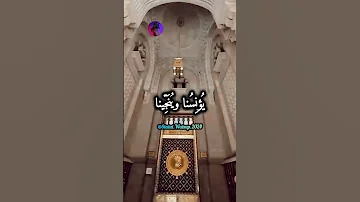 Maher Zain La Tahzan ماهر زين لا تحزن 
