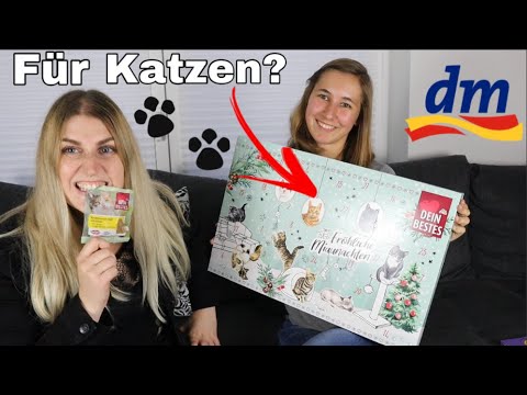 Dm Adventskalender Katzen