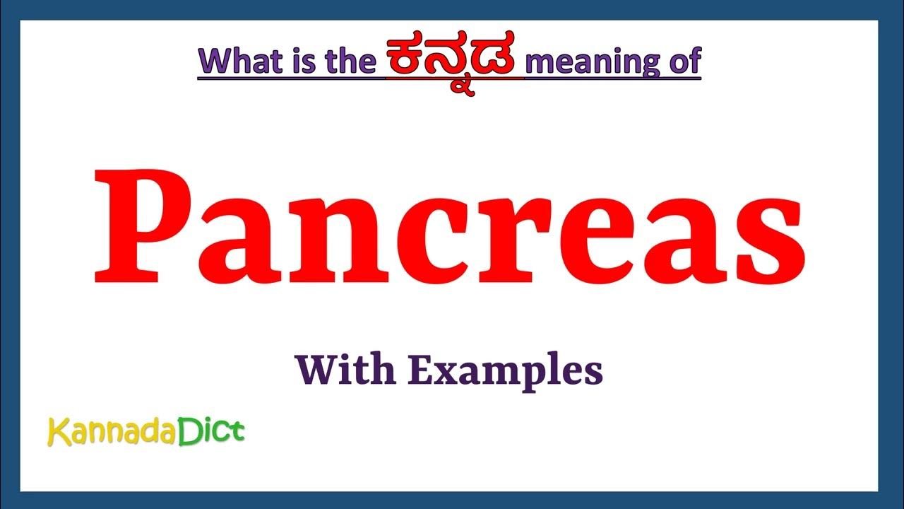 pancreas-meaning-in-kannada-pancreas-in-kannada-pancreas-in-kannada