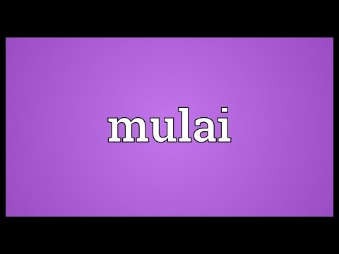 Mulai Meaning