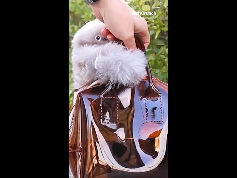 YouTube відео