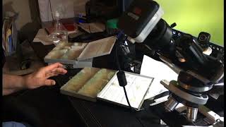 Nano Dust part 2 **It's inside all of us*